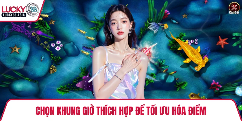 Chọn khung giờ thích hợp để tối ưu hóa điểm