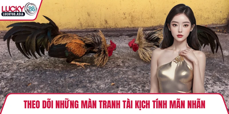 Theo dõi những màn tranh tài kịch tính mãn nhãn